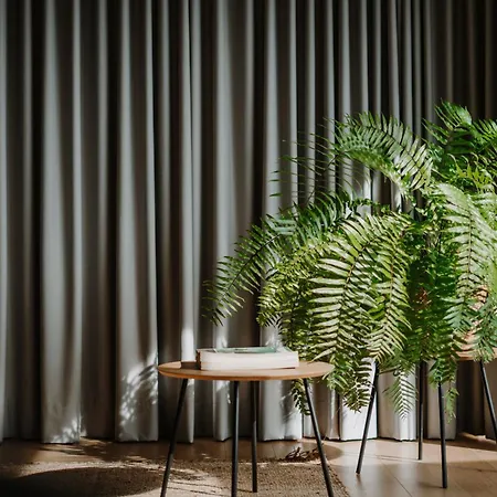 Farnhaus Appartement *